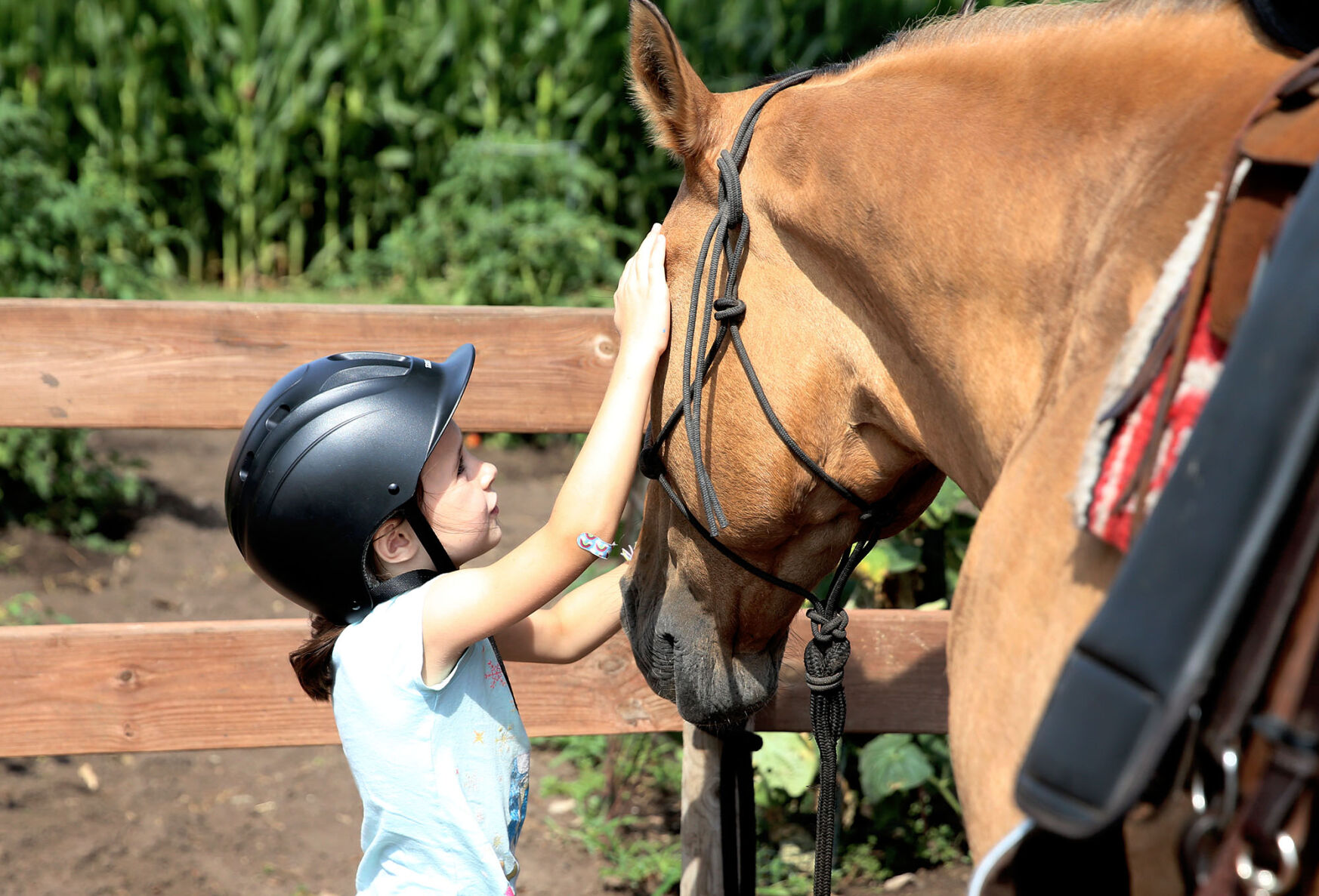 072722-gii-news-equine-science-jrs-p6